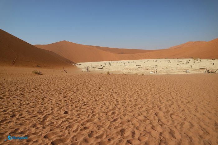 9 Deadvlei