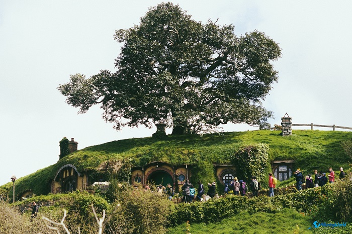 9 Hobbiton