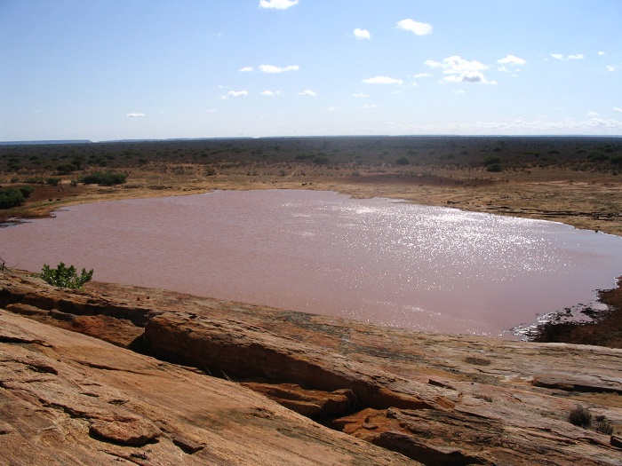 14 Tsavo East