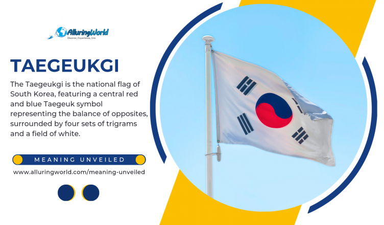 s korean flag