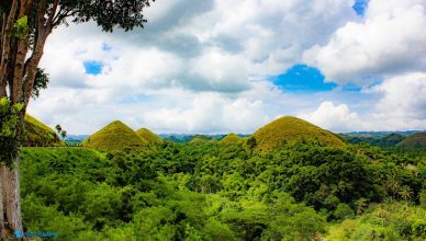 1 Chocolate Hills