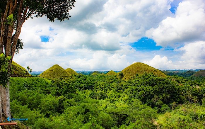 1 Chocolate Hills