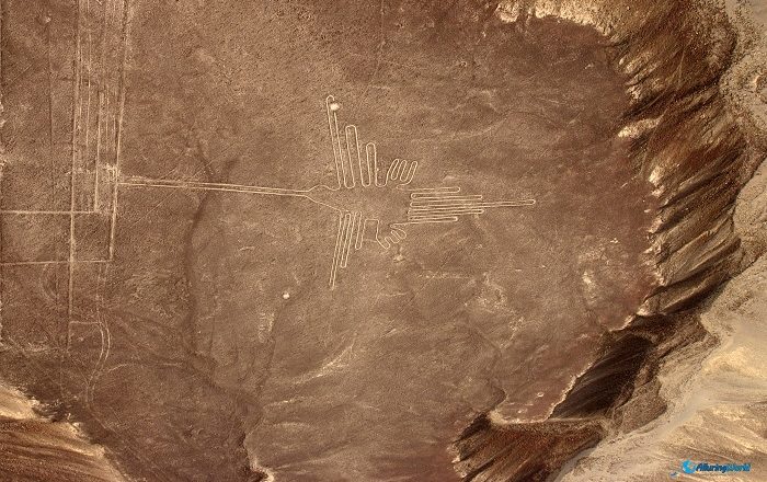 1 Nazca