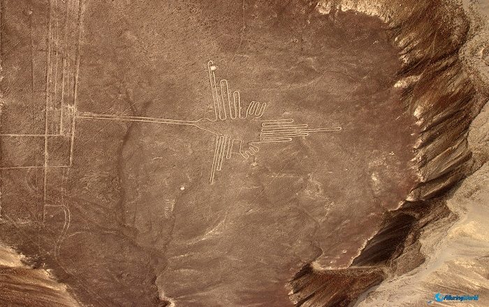 1 Nazca
