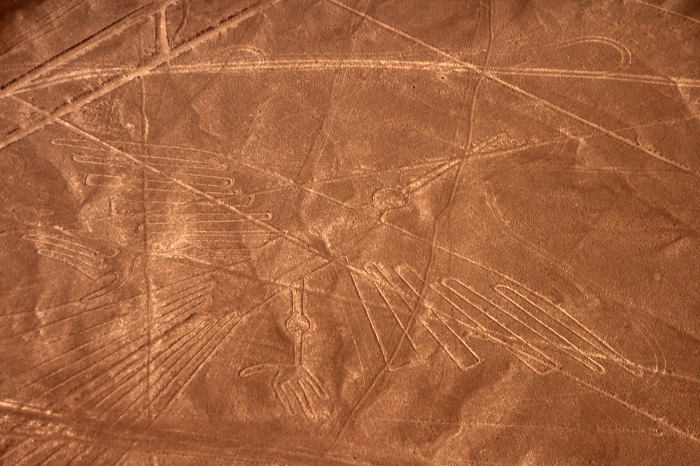 13 Nazca