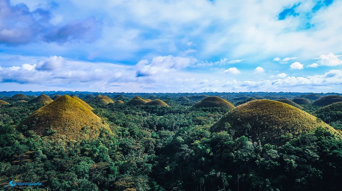 5 Chocolate Hills