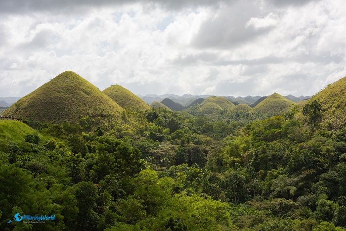 6 Chocolate Hills