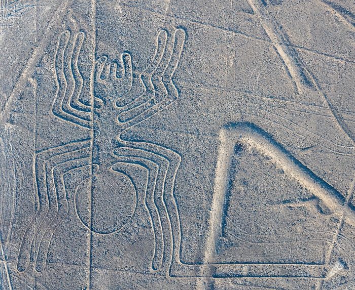 6 Nazca