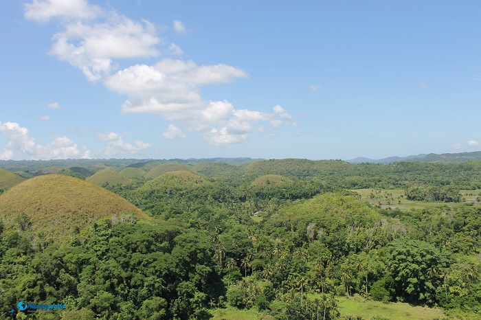 8 Chocolate Hills