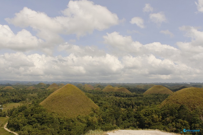 9 Chocolate Hills