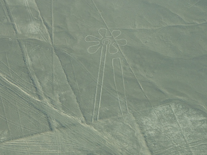 9 Nazca