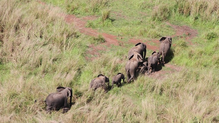 2 Garamba