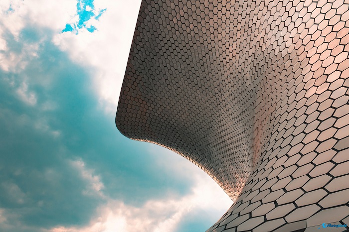 1 Soumaya
