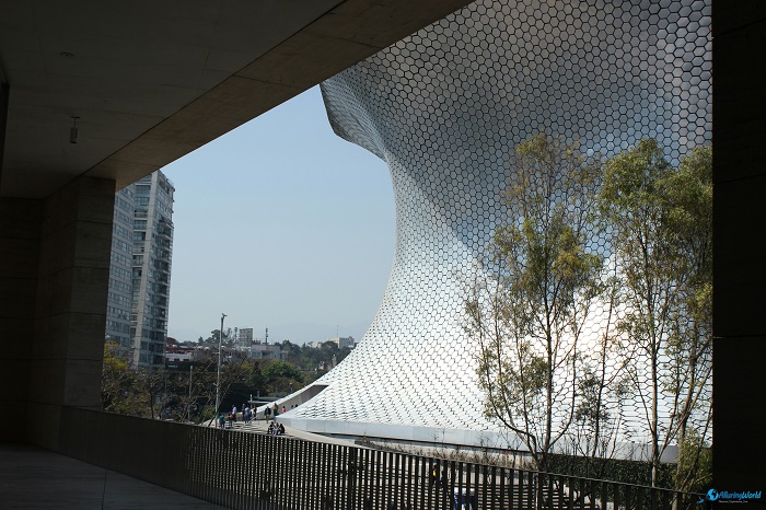5 Soumaya