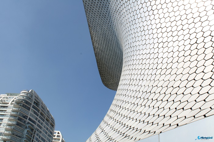 6 Soumaya