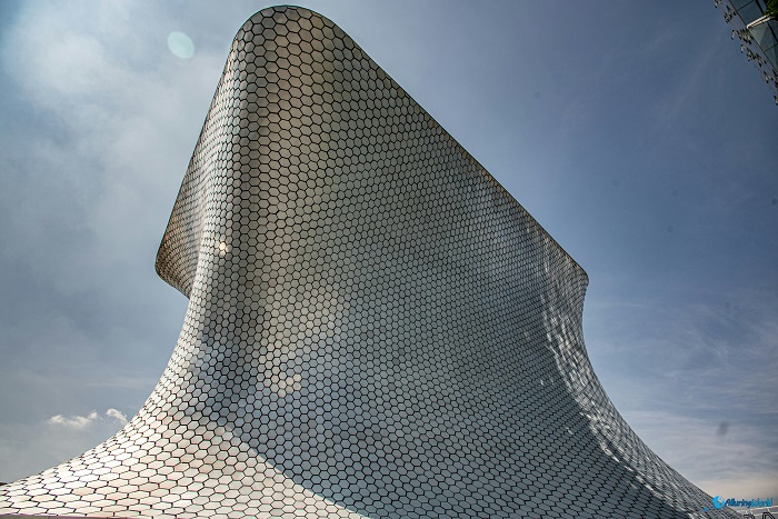 9 Soumaya