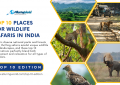 Top 10 Places for India Safaris - Top 10 Edition