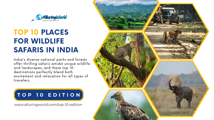 Top 10 Places for India Safaris - Top 10 Edition