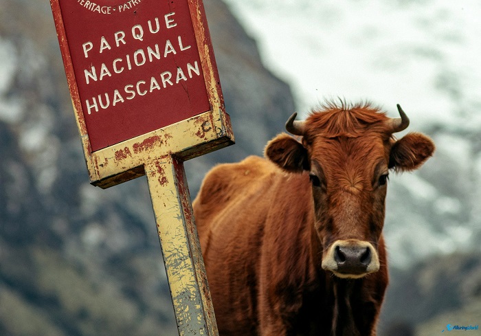 16 Huascaran