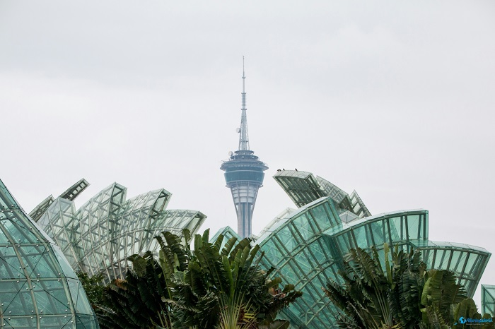 4 Macau Tower