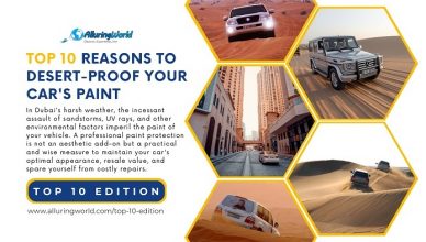 Car Paint Desert Proof - Top 10 Edition