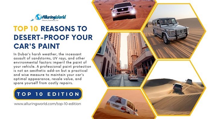Car Paint Desert Proof - Top 10 Edition
