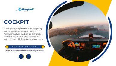 Cockpit - Meaning Unveiled