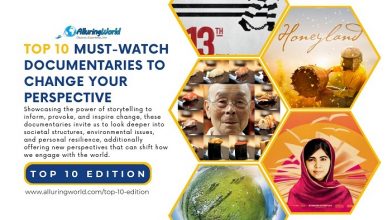 Top 10 Edition_20241226_173405_0000