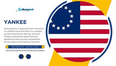 Yankee - Meaning Unveiled