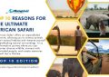 African Safari - Top 10 Edition