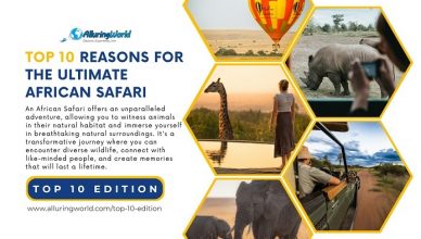 African Safari - Top 10 Edition