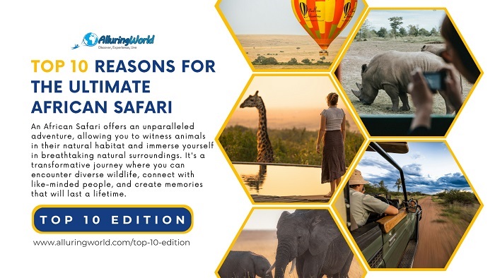 African Safari - Top 10 Edition