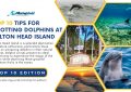 Hilton Head Island Dolphin Tours - Top 10 Edition