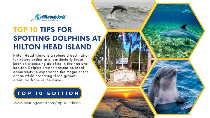 Hilton Head Island Dolphin Tours - Top 10 Edition