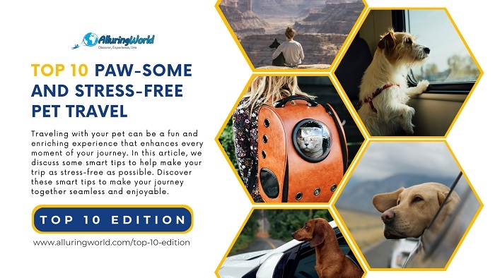Pet Travel - Top 10 Edition