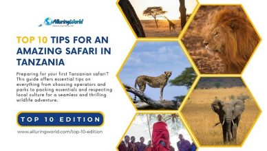 Tanzania Safari - Top 10 Edition