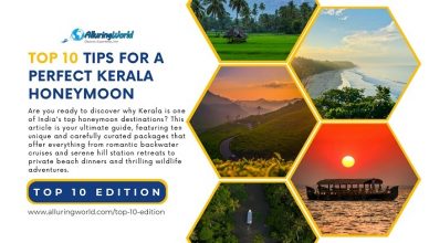 10 Tips for a Pefect Kerala Honeymoon - Top 10 Edition