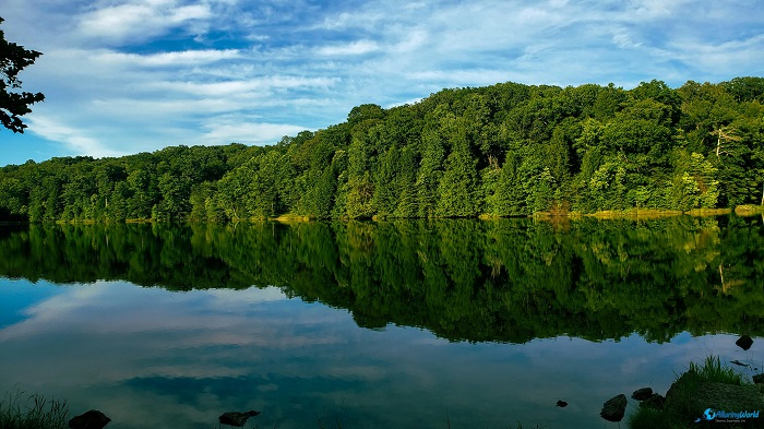 9 Hocking