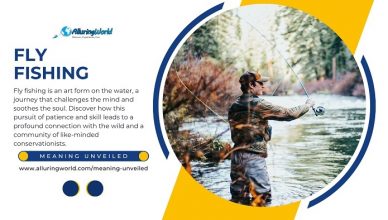 Fly Fishing - Meaning Unveiled