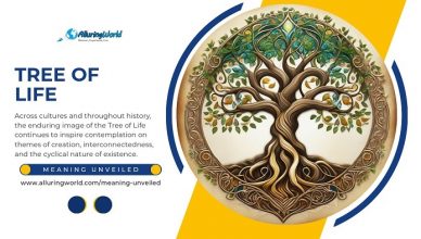 The Tree of Life - Meaning Unveiled