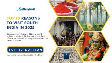 Top 10 Reasons to Visit South India in 2025 - Top 10 Edition