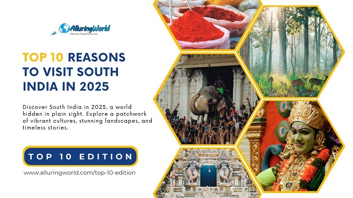 Top 10 Reasons to Visit South India in 2025 - Top 10 Edition