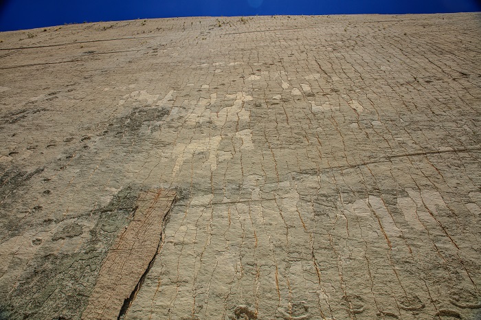 Source: wikipedia.org by Murray Foubister 10 Cal Orcko