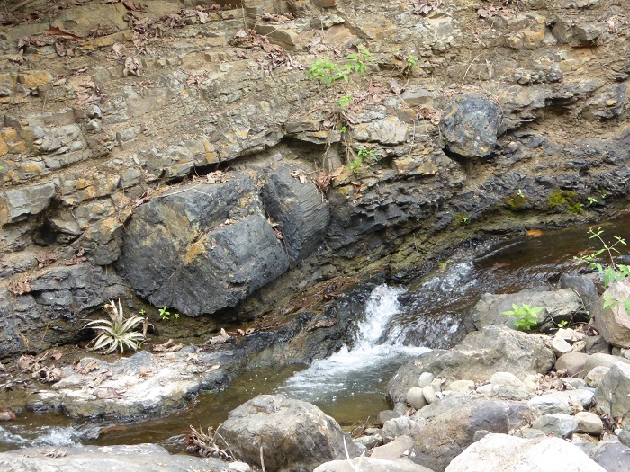 10 Puyango