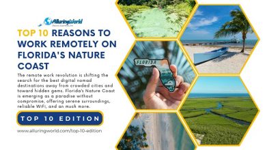 10 reasons to work remotely on Florida's Nature Coast - Top 10 Edition