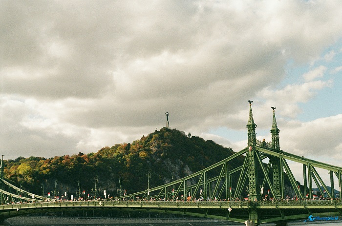 12 Gellert