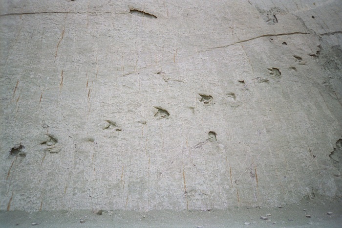 Source: wikipedia.org by John Martin Perry 3 Cal Orcko