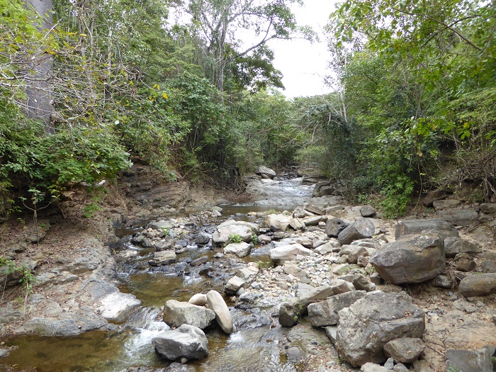 4 Puyango
