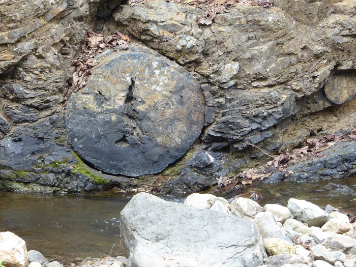 5 Puyango
