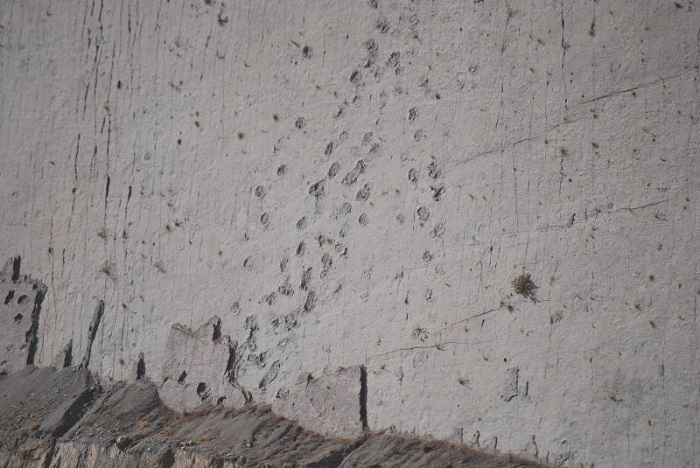 Source: wikipedia.org by Diego Tirira 6 Cal Orcko